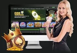 Privasi akun saat menggunakan fitur VIP